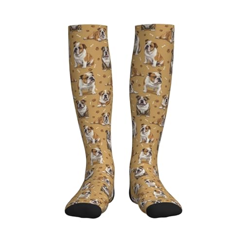 Cute Dog Compression Socks Women Men, Dog Lover Gift - color: English Bulldog