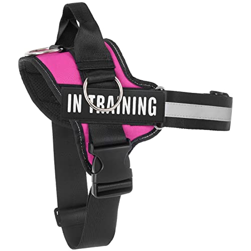 Essential Dog Harness, No Pull Pet Harness with 3 Side Rings for Leash Placement, No Choke, Reflective, Adjustable Pet Vest, Easy On-Off & Improved Control Handle, Training, Walking, Running - size: M(Neck:18-26",Chest:21-25")