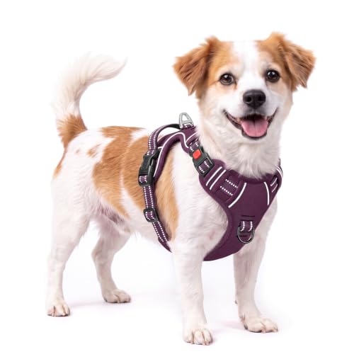 HEELE Harness Small Dog, No Pull No Choke Vest, Easy On & Off, Purple, S - color: Lock Purple, size: S (Pack of 1)