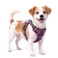 HEELE Harness Small Dog, No Pull No Choke Vest, Easy On & Off, Purple, S - color: Lock Purple, size: S (Pack of 1)