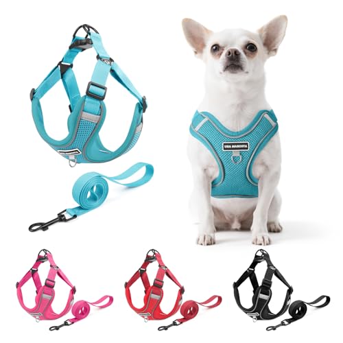 Dog Harness and Leash Set, Adjustable Triangle, Reflective Adjustable Puppy Vest, No Pull Soft Mesh Harness for Small, Medium Dogs, Cats (Turquoise, L) - color: Turquoise, size: L