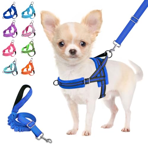 Lukovee Small Dog Harness and Leash Set, No Pull Soft Padded, 4ft Leash, XS - color: Blue, size: XS ( Chest 14'' ~ 18'')