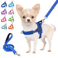 Lukovee Small Dog Harness and Leash Set, No Pull Soft Padded, 4ft Leash, S - color: Blue, size: S ( Chest 17.5'' ~ 22'')