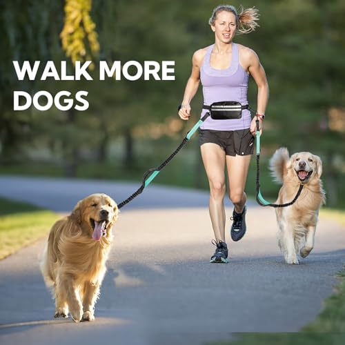 Hands Free Dog Leash for Two Dogs Walking, Running - color: Black/Mint Green, size: Large