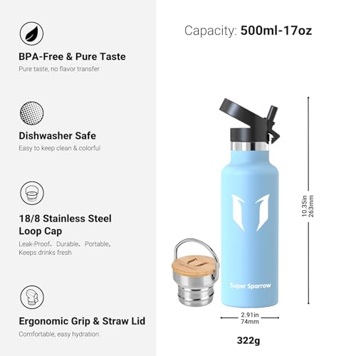 Sparrow Metal Water Bottle with Straw - Insulated Water Bottles Kids 500ml - color: Frost, size: 16.9 Ounces
