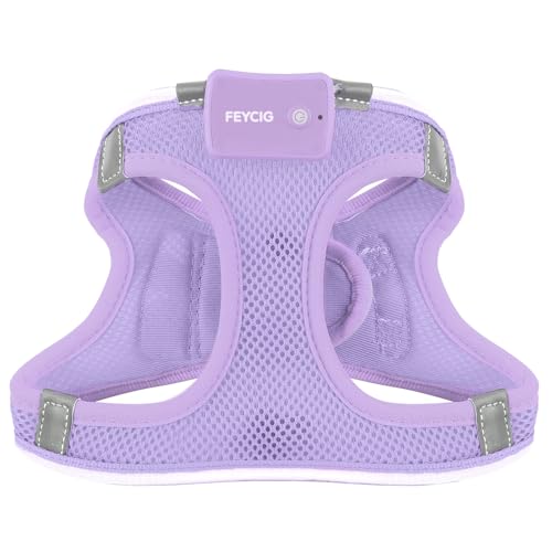 Light Up Dog Harness, Rechargeable LED Dog Harness for Small Medium Dogs - color: Lavender Purple, size: XS