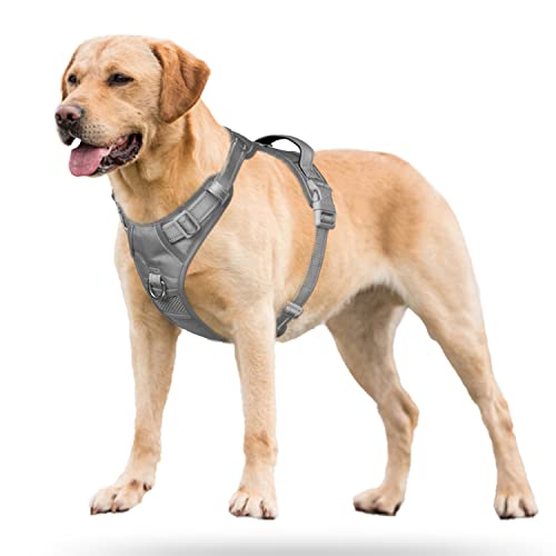 PoyPet No Pull Dog Harness, Reflective Vest with 2 Leash Clips & Handle - color: Grey(Matching Trim), size: S