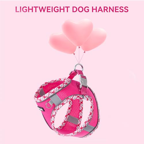 Petank Step in Dog Harness No Pull and Leash for Small Medium Dogs Cats. - color: Rose Red, size: XXS