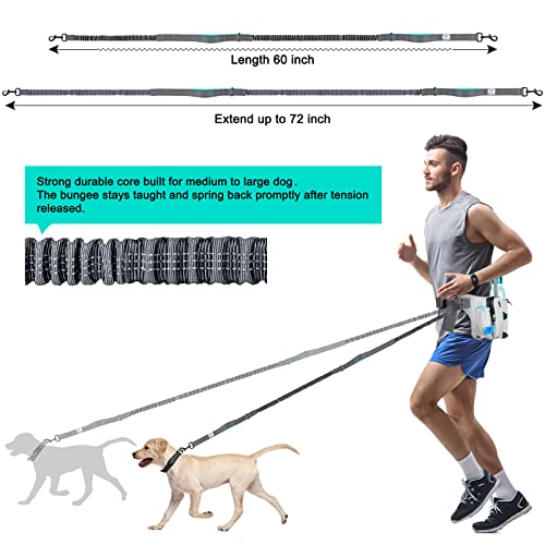 SHINE HAI Retractable Hands Free Dog Leash with Dual Bungees for 2 Dogs, Adjustable Waist Belt, Reflective Stitching Leash for Running Walking Hiking Jogging Biking Black - Gray2 - color: Gray