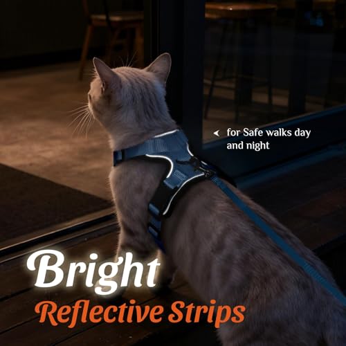 Dooradar Cat Harness and Leash Set, Adjustable and Escape Proof, M - color: Light Blue, size: M