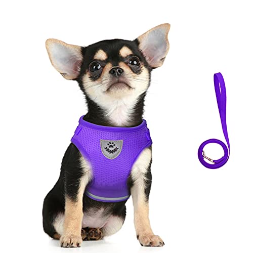 FEimaX Dog Harness and Leash Set for Walking, Soft Mesh Adjustable Easy Control Lightweight Cat Vest Harnesses with Reflective Strips, Escape Proof Small Dogs Cats Vests - color: Purple, size: XXS