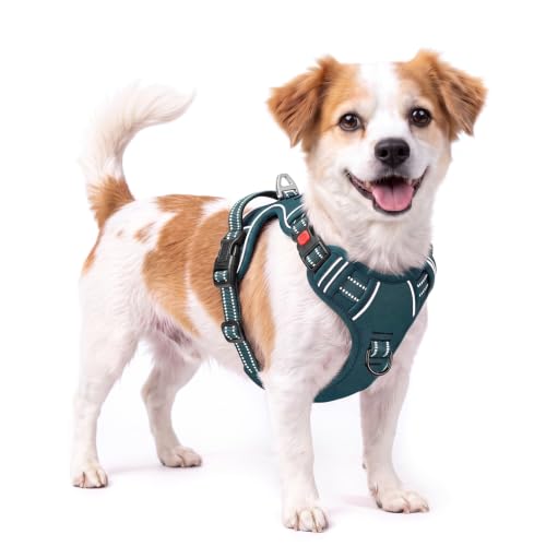 HEELE Dog Harness, Neck Release, No Pull Front Clip Vest, Blackish Green, S - color: Lock Blackish Green, size: S (Pack of 1)