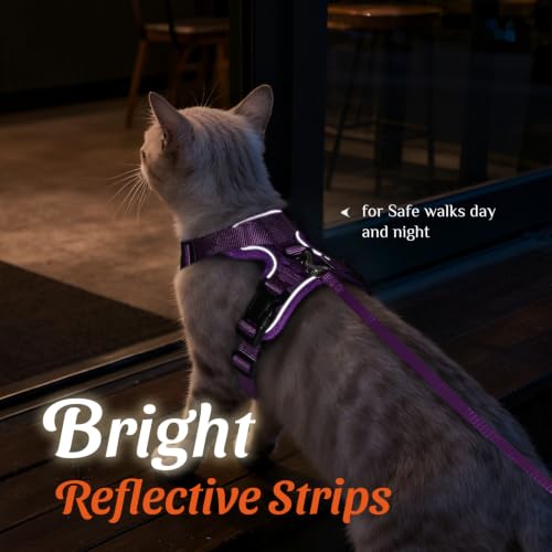 Dooradar Cat Harness and Leash Set, Adjustable and Escape Proof, XXS - color: Argyle Purple, size: Xxs