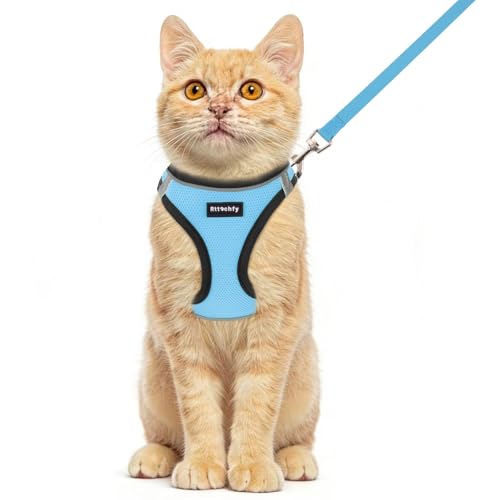 Rttochfy Cat Harness and Leash Set, Escape Proof Kitten Harness, Soft and Breathable Vest with Reflective Strip, Easy to Wear for Cats Walking and Traveling (BK Light Blue, XXS) - color: BK Light Blue, size: XXS (Chest:11"-12")