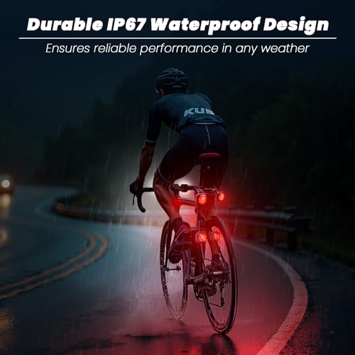 Luvan Smart Bike Light with Remote Controller - Sync Front & Rear LED Light Set, 5 Night & Daytime Mode | Turn Signals | Brake Lights, Rechargeable Bicycle Light for Night Riding, Dog, Running,Scooter - color: 6pcs Lights + Remote Controller