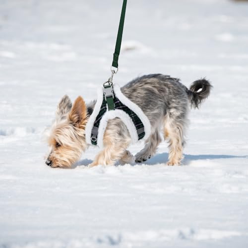 AIITLE Christmas Step-in Dog Harness and Leash Set for Winter, Green XXXS - color: Green, size: XXXS