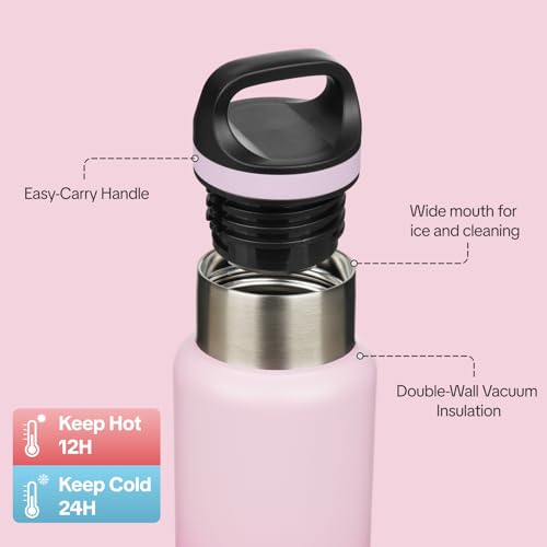 BJPKPK 18oz Insulated Water Bottle Stainless Steel Water Bottle with Handle - color: Cherry, size: 18 Ounces