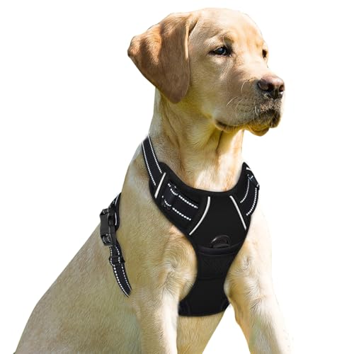 BARKBAY Dog Harness No Pull for Small Sized Dog Front Back Clips,Dog Vest - color: Black, size: X-Small(Chest:15.5-19.5”)