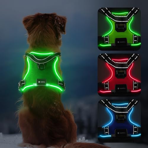 MASBRILL Led Dog Harness - No Pull, Light Up, Rechargeable Reflective Glow Vest for Small to Large Dogs - color: Green, size: L