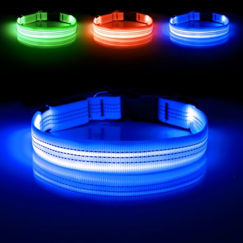 Illumifun Light Up Dog Collar, USB Rechargeable LED Dog Collar, Adjustable Reflective Lighted Pet Collar for Night Walking Camping (BlueⅢ, Large) - color: BlueⅢ, size: Large