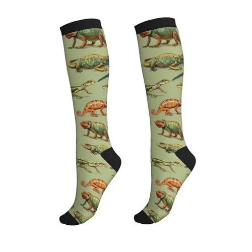 Compression Socks Circulation 15-20 Mmhg Knee High - color: Reptiles