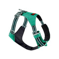 Tuff Pupper All-Day Wear Dog Harness | for Walking, Trail Running, Hiking | Front & Back Leash Clips | Reflective Trim | Easy On/Off Buckles | Lightweight Breathable | No Pull Design (Small, Teal) - color: Tropical Teal, size: Small