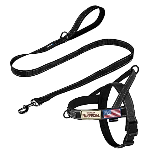 Annchwool No Pull Dog Harness with Padded Handle+5 Ft Leash(Black-Set,S) - color: Black Set, size: S