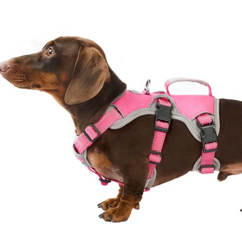 Huntboo Escape Proof Dog Harness, Dachshund Harness, Reflective Dog Harness with Handle, Durable,Adjustable Vest for Small Medium Large Dogs Walking, Training, and Running Gear (Rose red,S) - color: Rose red, size: Small(Pack of 1)