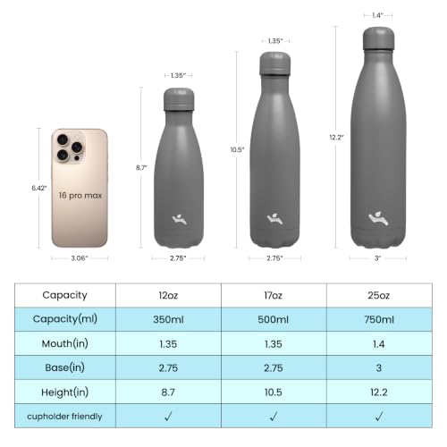 Konokyo 12 oz Insulated Stainless Steel Water Bottle, Gray - color: Gray, size: 12 Ounces