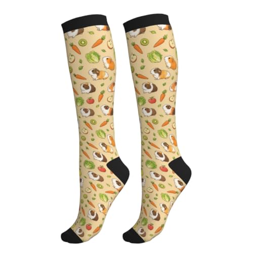 Avocado Compression Socks Women Men Knee High Stock for Running Work Support Nurses Travel - color: Guinea Pig