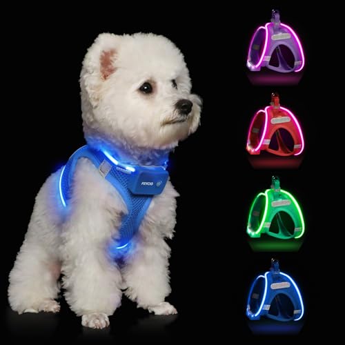 Light Up Dog Harness, Rechargeable LED Dog Harness for Small Medium Dogs - color: Sky Blue, size: XS