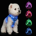 Light Up Dog Harness, Rechargeable LED Dog Harness for Small Medium Dogs - color: Sky Blue, size: XS