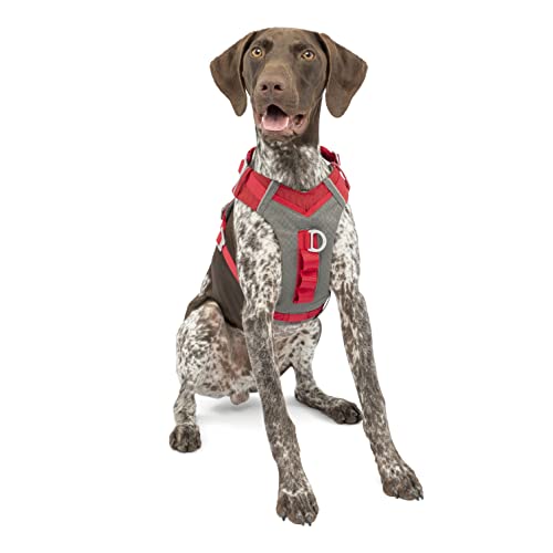 Kurgo Journey Air Dog Harness, Red, Medium - color: Red, size: Medium