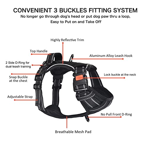 Petmolico No Pull Dog Harness and Leash Set with 4 Clips, Black, Small - color: Black, size: Small