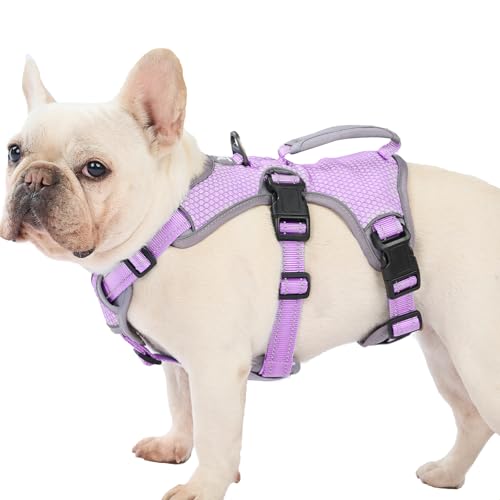 Huntboo Escape Proof Dog Harness, Dachshund Harness, Reflective Dog Harness with Handle, Durable,Adjustable Vest for Small Medium Large Dogs Walking, Training, and Running Gear (Lavender Purple,M) - color: Lavender Purple, size: Medium(Pack of 1)