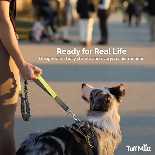 Tuff Mutt Waist Hands Free Dog Leash for Walking Running Hiking - color: green/gray