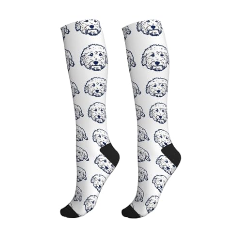 Compression Socks Knee High Support Stockings Women Men - color: Cute Goldendoodle
