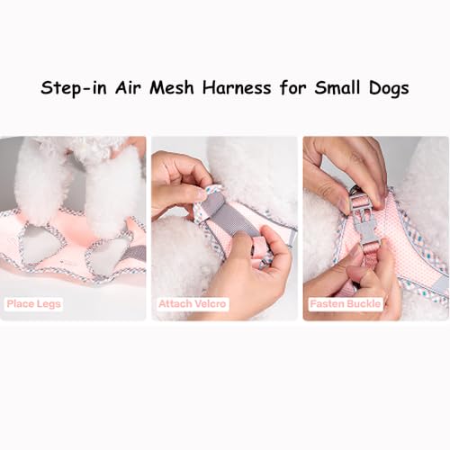 Petank Step in Dog Harness No Pull and Leash for Small Medium Dogs Cats. - color: Pink, size: XXS