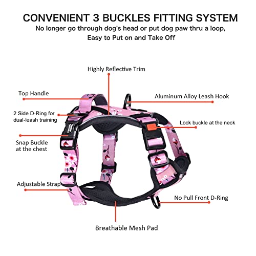 Petmolico No Pull Dog Harness and Leash Set with 4 Clips, Pink Plum, Medium - color: Pink Plum, size: Medium