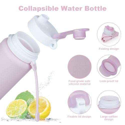 PLTCAT Collapsible Water Bottles, 19oz Foldable Silicone Travel Bottles - color: Taro Purple