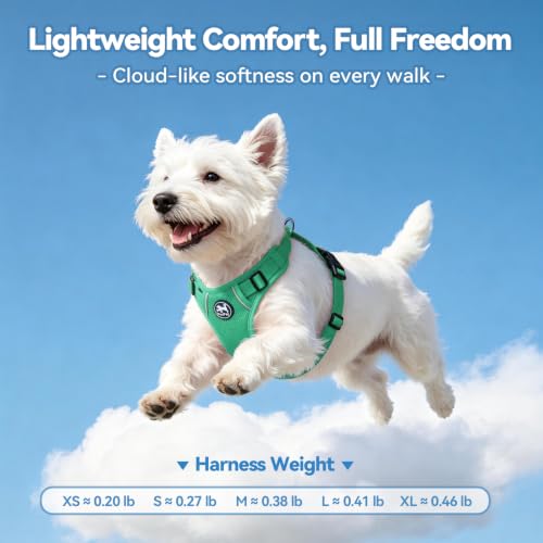 PoyPet Mesh Dog Harness, Reflective Breathable Puppy Vest for Small Dogs - color: Mint Green, size: XS