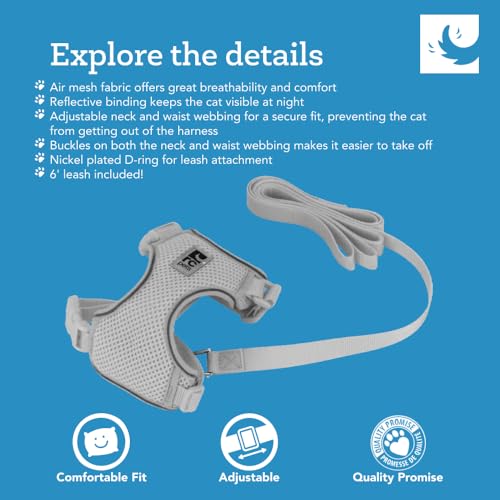 RC Pets Adventure Kitty Cat Harness | Adjustable Airmesh Vest with D-Ring and 6ft Leash for Walking and Travel | Lil Heart, Medium - color: Lil Heart, size: Medium