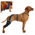 Dog Knee Brace XL, Hind Leg Support with Hot & Cold Gel Pack - size: XL
