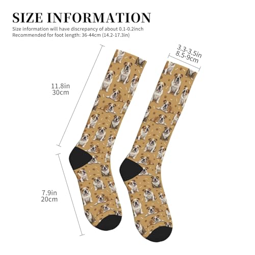 Cute Dog Compression Socks Women Men, Dog Lover Gift - color: English Bulldog