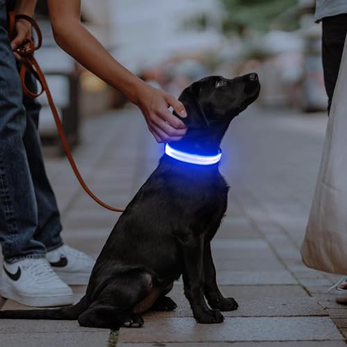 Illumifun LED Dog Collar, USB Rechargeable Light Up Collar, Waterproof Adjustable Safety Light Glow in The Dark (Blue, Large) - color: Blue, size: Large