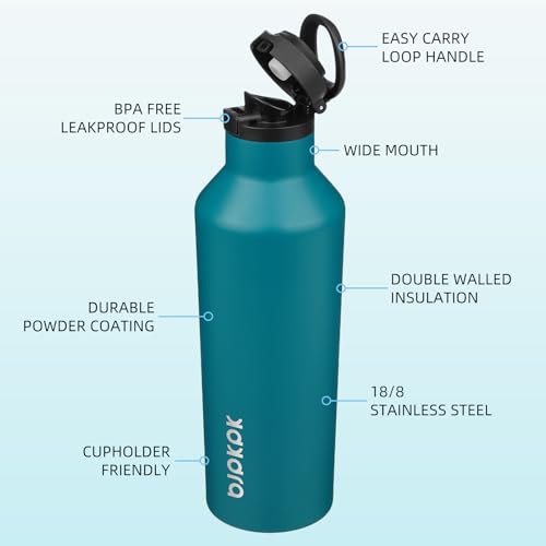 BJPKPK 25oz Insulated Thermal Water Bottle, Straw & Handle, Stainless Steel - color: Lake Blue, size: 25 Ounces