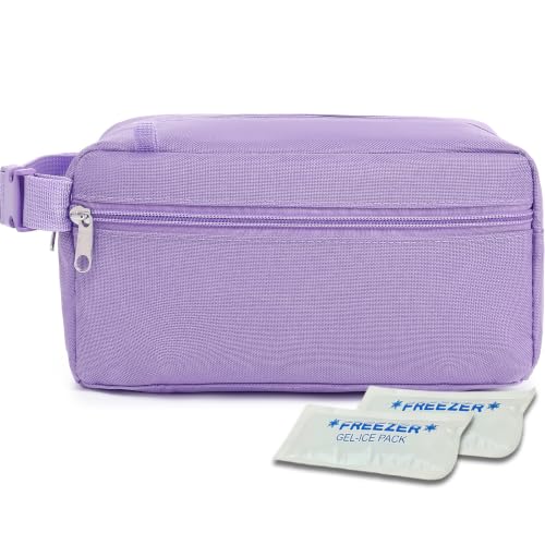 Fammart Freezable Snack Bag with Removable Ice Packs, Small Insulated Lunch Bag Mini Cooler, Leakproof Reusable Snack Lunch Box with Buckle Handle for Work, Travel, Office - Purple - color: with Ice Packs - Purple