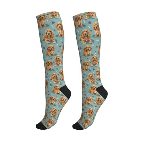 Cute Dog Compression Socks Women Men, Dog Lover Gift - color: Cocker Spaniel