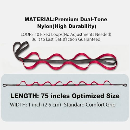 Acozycoo Stretching Strap with Loops for Leg Calf Back Physical Therapy - color: Red