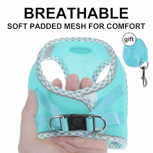 Dog Harness and Leash Set, Soft Breathable Mesh Doggy Vest, Adjustable No-Pull Chest Harness with Reflective Trim, Walking Set for Small & Medium Size Pet & Mini Poodle Puppy, L Size Green - color: GREEN, size: L